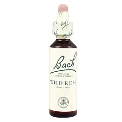Wild Rose Flores de bach originales 20 ml