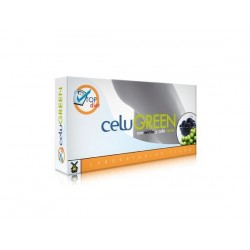 Celugreen - 40 cápsulas - Tegor