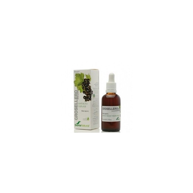 Extracto de Grosellero Negro · 50 ml · Soria Natural