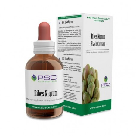PSC RIBES NIGRUM ·15 ml · FORZA VITALE