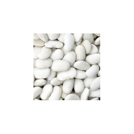 ALUBIA JUDION DE LA GRANJA DEL BARCO DE AVILA - 50 GRAMOS