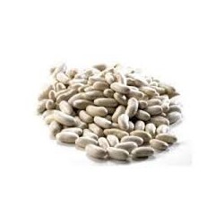 ALUBIA RIÑON DE LEON