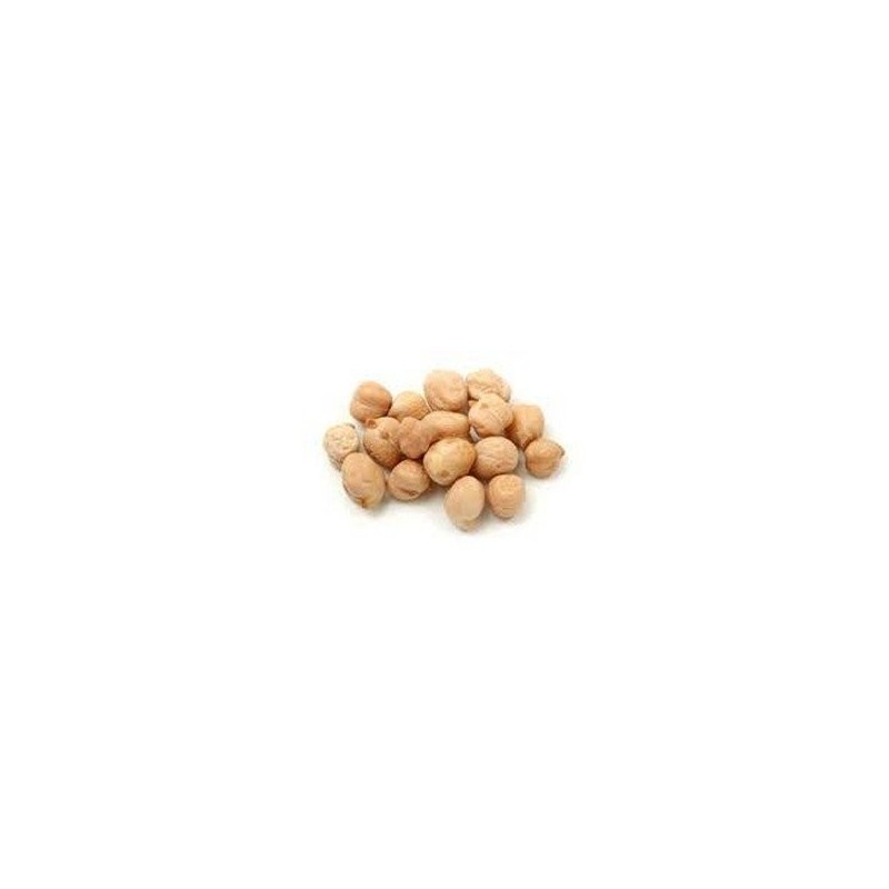 Garbanzo Pedrosillano de Salamanca