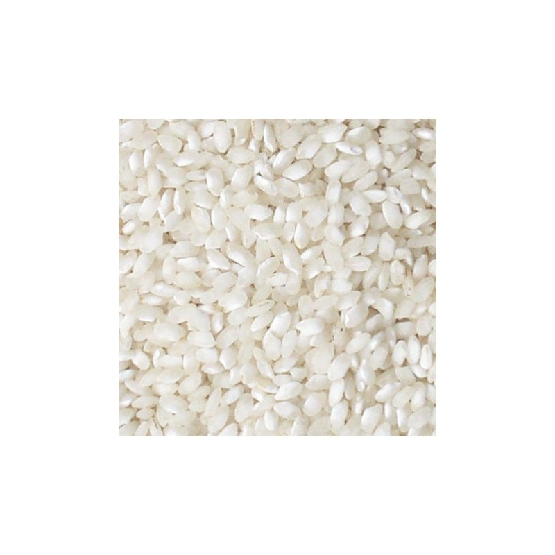 ARROZ BOMBA (MURCIA)