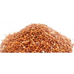 Quinoa Real Roja – BIO