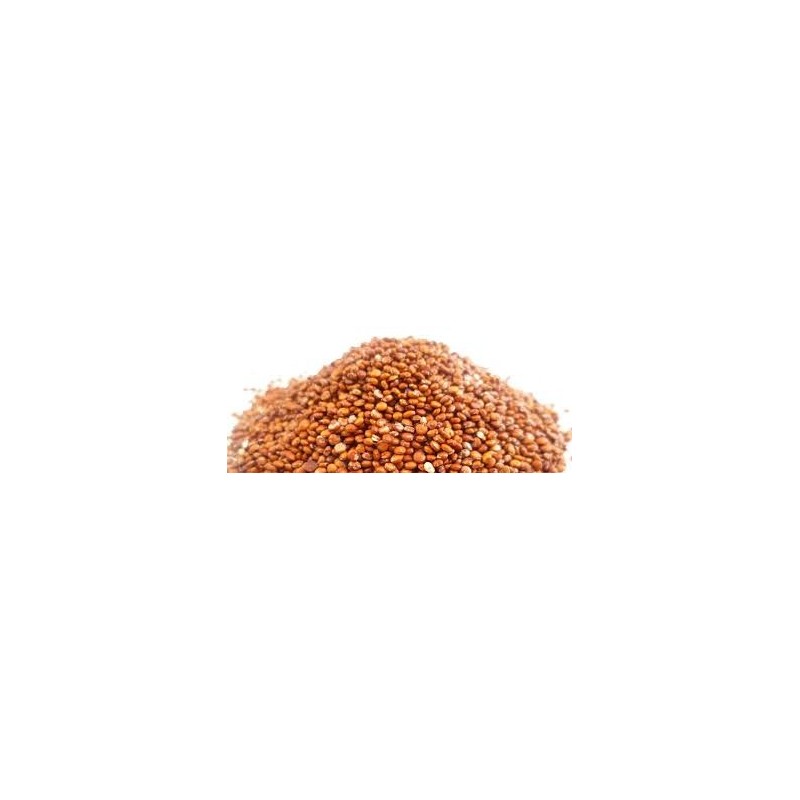 Quinoa Real Roja – BIO