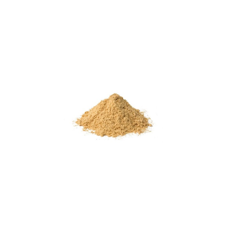 JENGIBRE POLVO BIO
