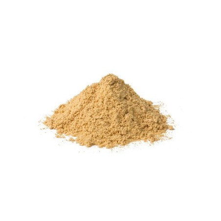 JENGIBRE POLVO BIO