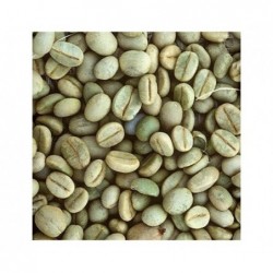CAFE VERDE BRASIL SANTOS