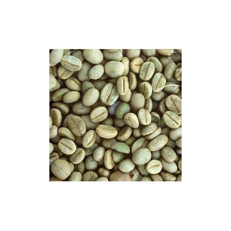 CAFE VERDE BRASIL SANTOS