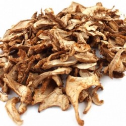 PERROCHICO DESHIDRATADO