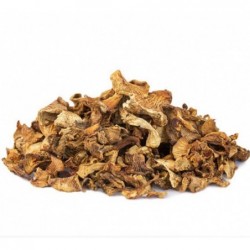 Rebozuelo silvestre deshidratado