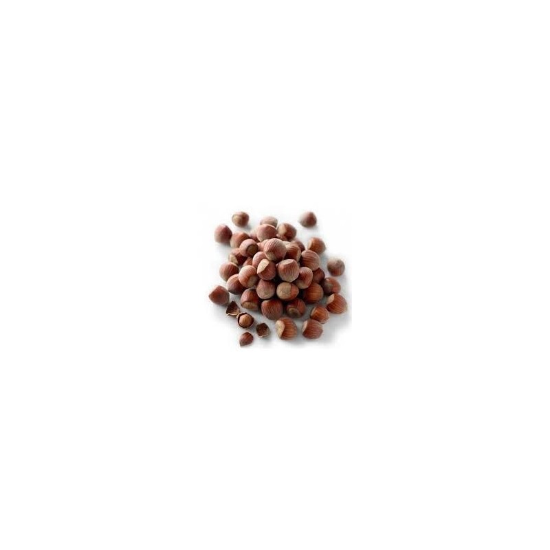 AVELLANA CASCARA (FRANCIA)