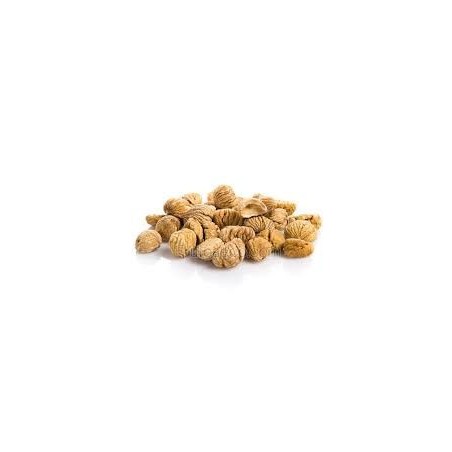 CASTAÑA PILONGA · 50 GRAMOS