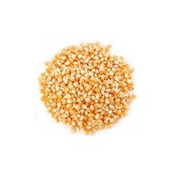 MAIZ PALOMITAS