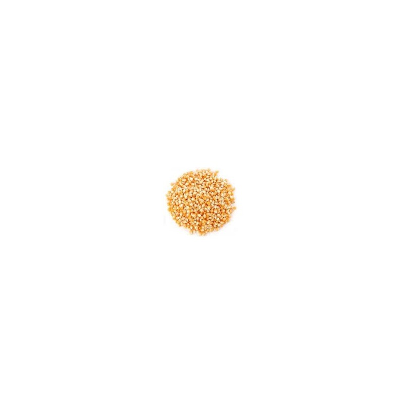 MAIZ PALOMITAS
