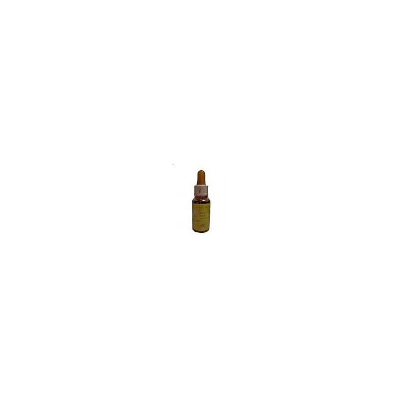 TREBOL ROJO - ESENCIA FLORAL  - 20 ML