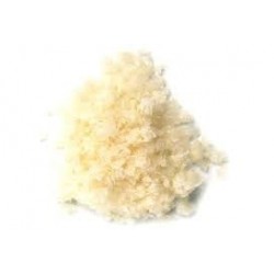 Sal Murray River Australia