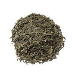 TE VERDE SENCHA ECOLOGICO