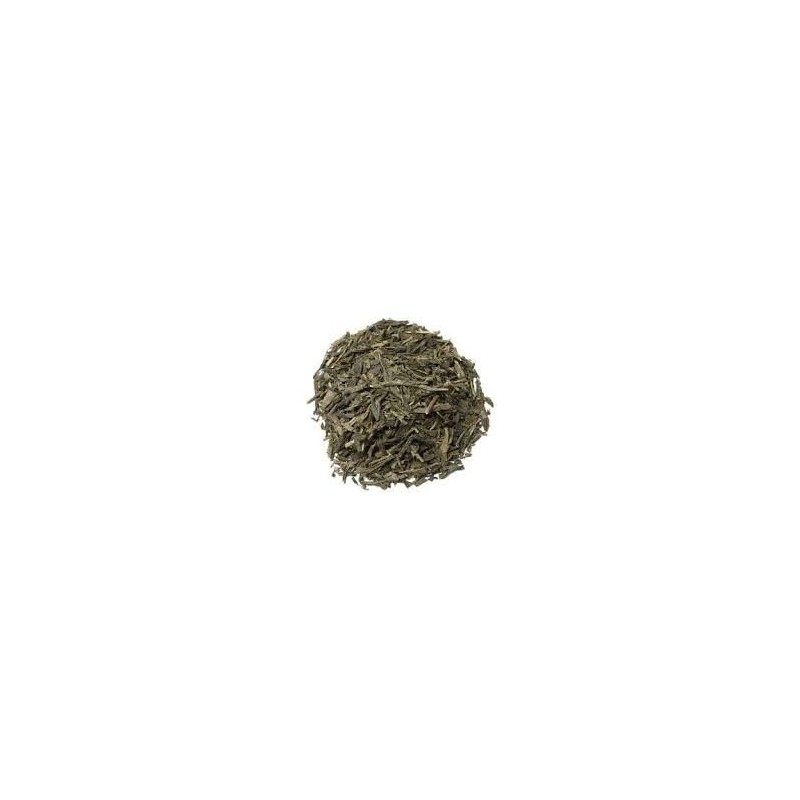TE VERDE SENCHA ECOLOGICO