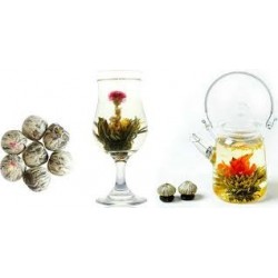 TE FLORECIENTE BAILE DE HADAS