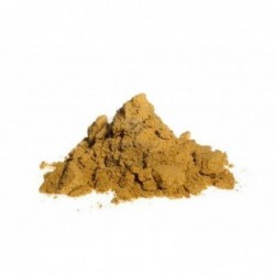 CILANTRO MOLIDO BIO