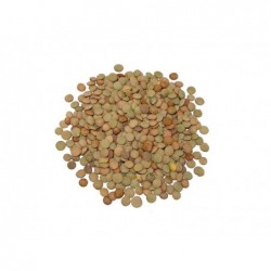 LENTEJA CASTELLANA ECOLOGICA DE FUENTESAUCO