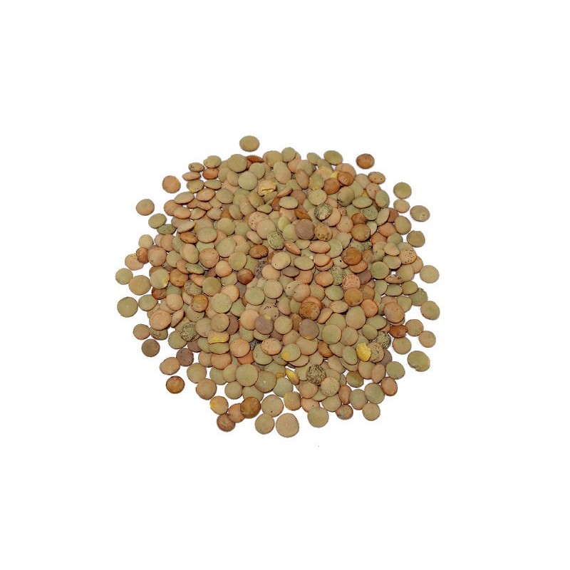 LENTEJA CASTELLANA ECOLOGICA DE FUENTESAUCO