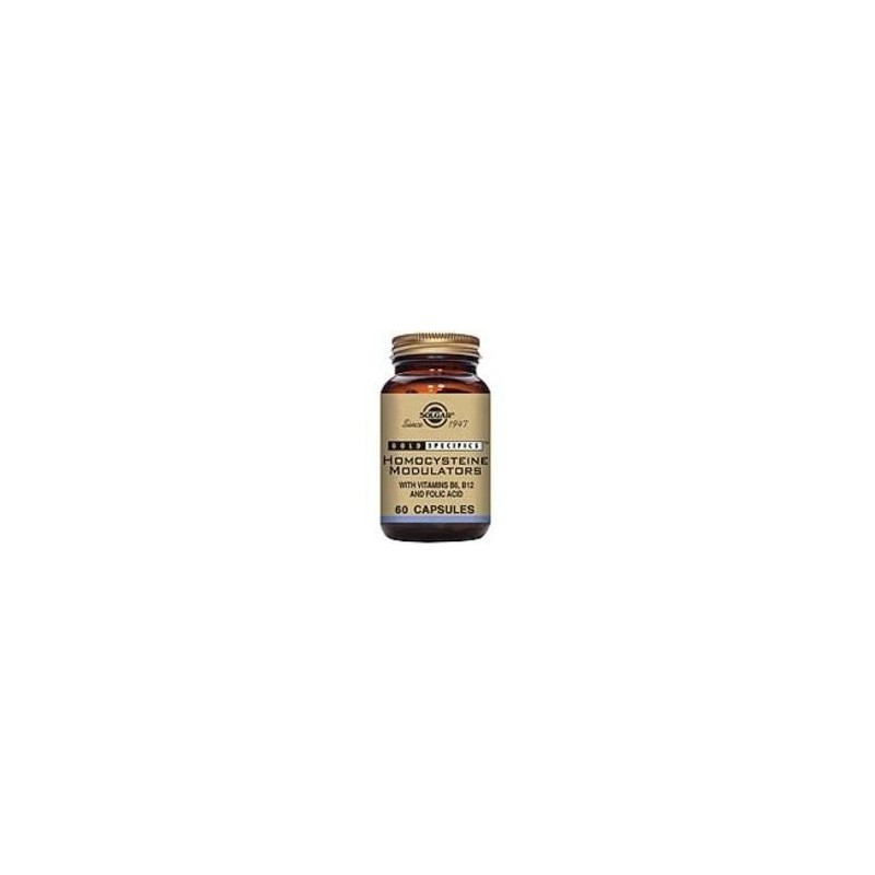 GS HOMOCYSTEINE MODULATOR · 60 VEGICAPS · SOLGAR