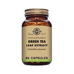 TE VERDE-hoja-(green tea) 60 VEGICAPS -SOLGAR