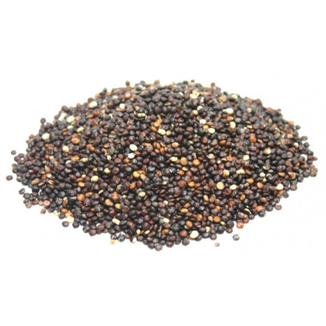 Quinoa Real Negra