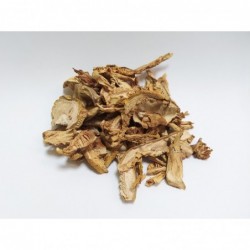 AMANITA ( HUEVO DE REY )