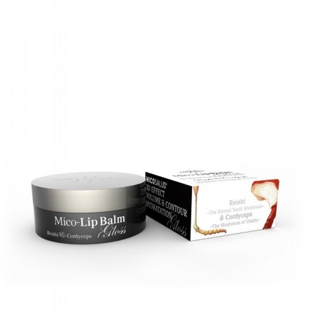 Mico Lip Balm Gloss · Hifas Da Terra