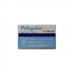 POLYGALUS