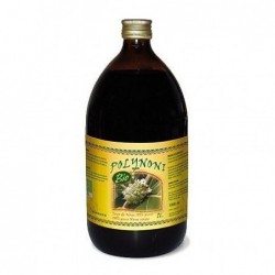 JUGO NONI POLINONI BIO 1L