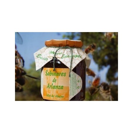 MIEL DE EUCALIPTO · 1KG · SABINARES DE ARLANZA