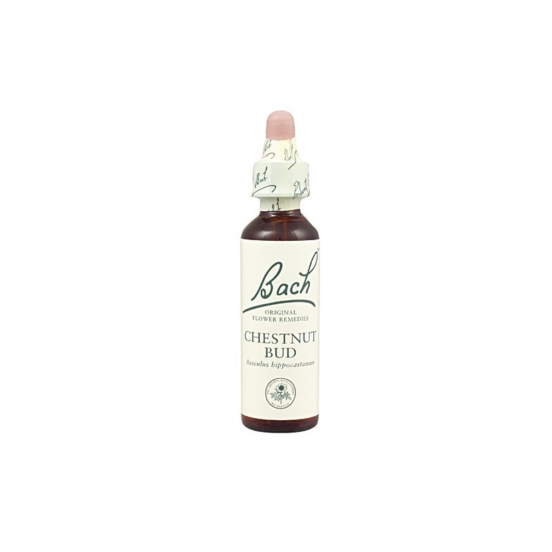Chestnut · Bud Flores de bach originales · 20 ml