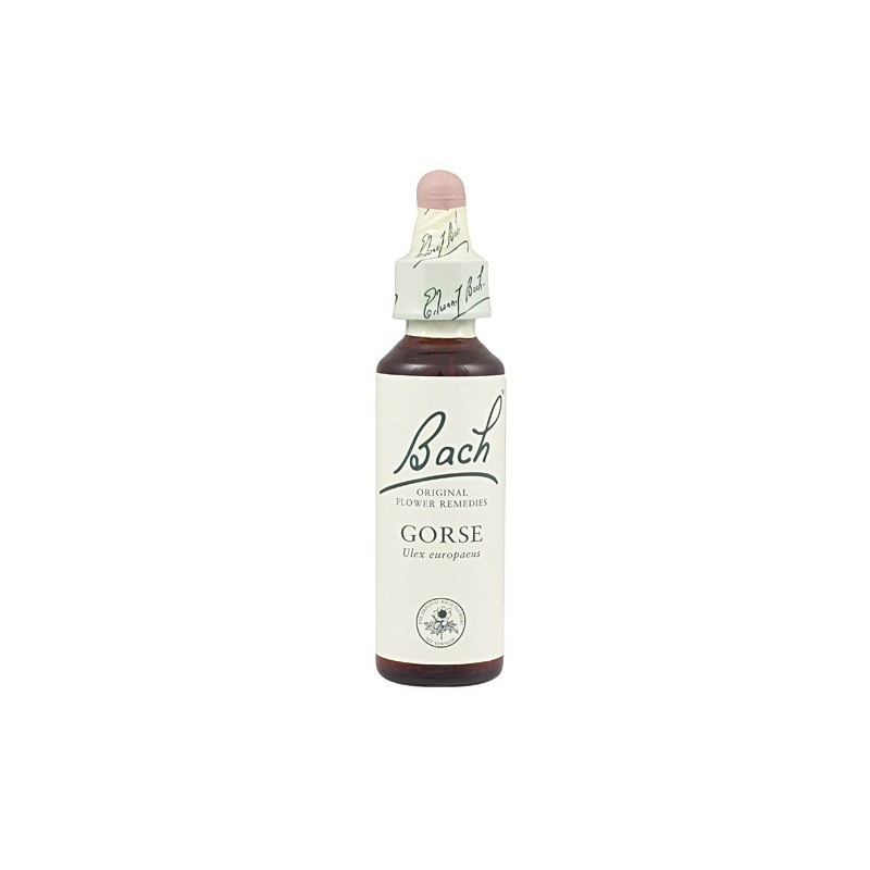 Gorse · Flores de bach originales · 20 ml
