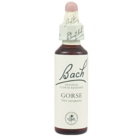 Gorse · Flores de bach originales · 20 ml