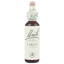 Larch Flores de bach riginales 20 ml