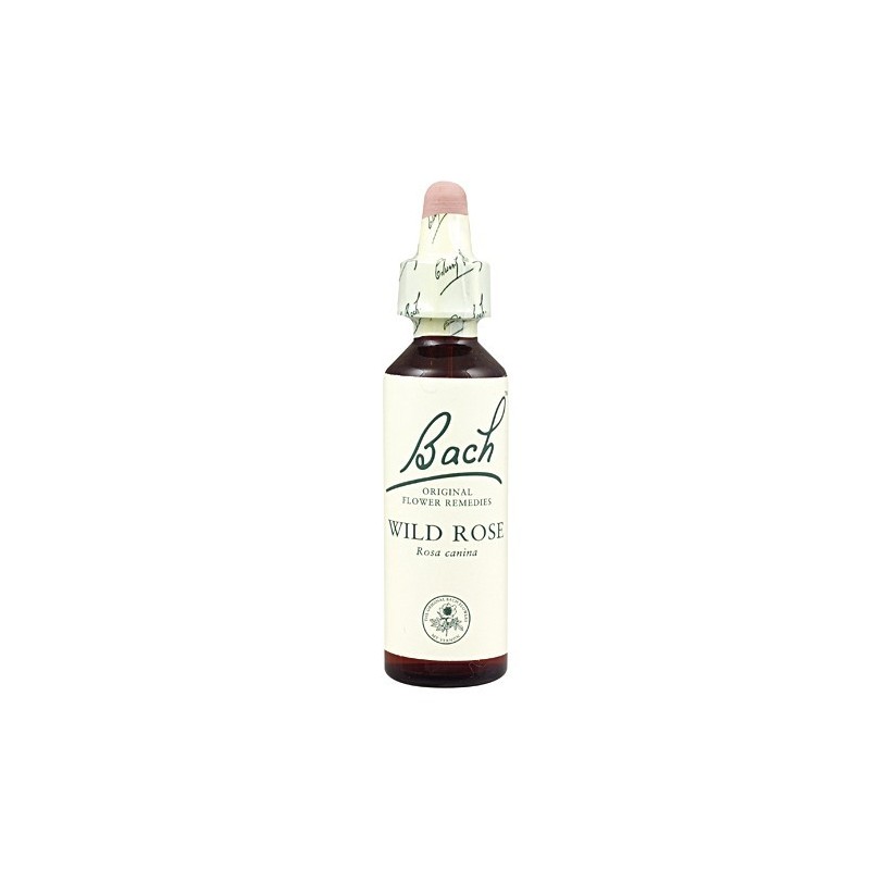 Wild Rose Flores de bach originales 20 ml